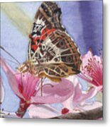 Painted Lady Metal Print