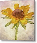 Painted Susan Metal Print