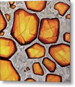 Pallasite Cleromancy Metal Print