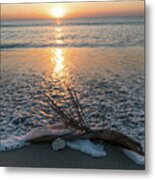 Palm Frond Coral Sunrise Wave Delray Beach Florida Metal Print