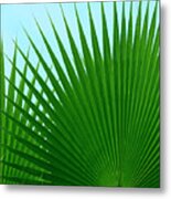 Palm Leaves Metal Print