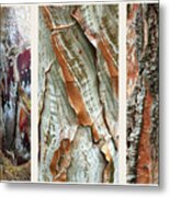 Palm Tree Bark Triptych Metal Print