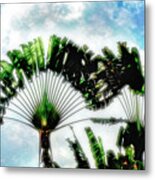 Palm Tree Composition Metal Print