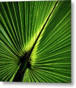 Palm Tree With Back-light Metal Print