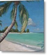 Palm Trees And Beach By Alan Zawacki Metal Print