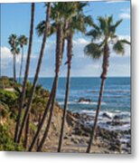 Palm Trees At Monument Point Laguna Beach Metal Print