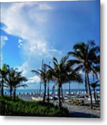 Palm Trees Catamarans Delray Beach Florida Metal Print