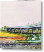 Palmetto Flyover Metal Print