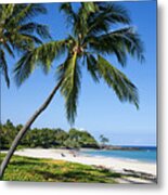 Palms Over Beach Ii Metal Print