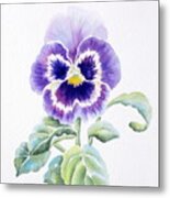 Pansy Metal Print