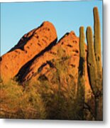 Papago Park Mountain At Sunrise Phoenix Az Cactus Metal Print