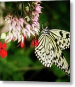 Paper Kite Metal Print