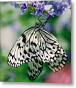 Paper Rice Butterfly Metal Print