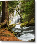 Paradise At Panther Creek Metal Print