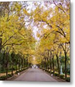 Parque De Maria Luisa Sevilla Spain Metal Print