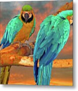 Parrots At Sunset Metal Print