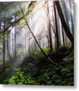 Parting Of The Mist Metal Print