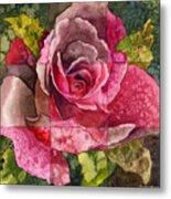 Partitioned Rose Iii Metal Print