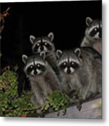 Party Of Five On The Roof Top Metal Print