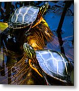 Passing The Day With A Friend Metal Print