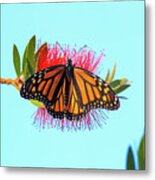 Pastel Monarch Metal Print