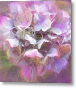 Elegant Pastell Pink Hortensia Metal Print