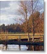 Pasture Pond Metal Print