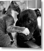 Patches And Motey Play 3 Bnw Metal Print