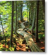 Path Around Jordan Pond Metal Print