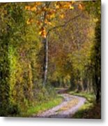 Path Through Autumn Forest Metal Print
