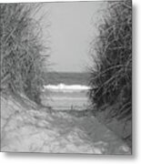 Path To The Beach Metal Print