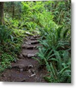 Pathway Into The Forest Metal Print