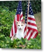 Patriotic Cat Metal Print