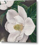 Pawpaw's Magnolias Metal Print