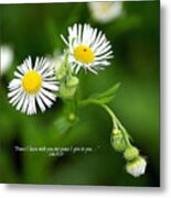 Peace I Leave With You Metal Print