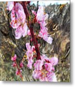 Peach Blossoms Impression Metal Print