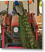 Peacock And His Ride Metal Print