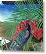 Peacock Metal Print