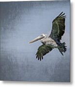 Pelican Flight Metal Print