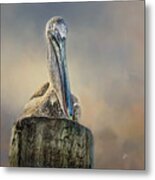 Pelican In Paradise Squared Metal Print