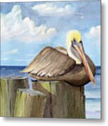 Pelican Perch Metal Print