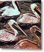 Pelicans Metal Print