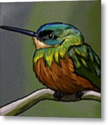 Perched Hummingbird Metal Print