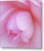 Perfect Pink Metal Print