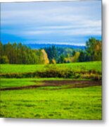 Perfect Place For A Meadow Metal Print