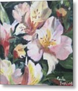 Peruvian Lily Metal Print