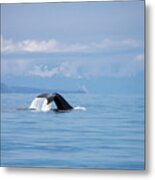 Petersburg Ak Whale Tale 6 Metal Print