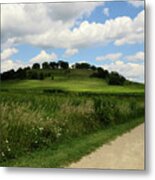 Pheasant Branch Hill Metal Print