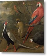 Pheasant Macaw Monkey Parrots And Tortoise Metal Print