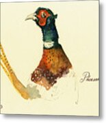 Pheasant Painting Metal Print